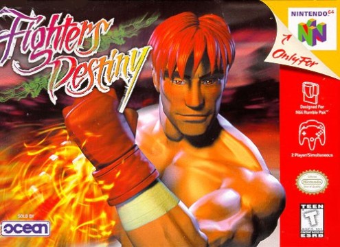 FIGHTER’S DESTINY - Video Game Delivery